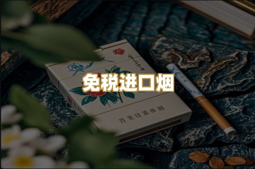 免税进口烟